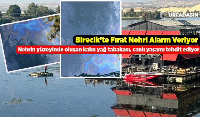 Fırat Nehri'nin Doğal Dengesini Bozan İşletme, Çevre Felaketine Davetiye Çıkartıyor