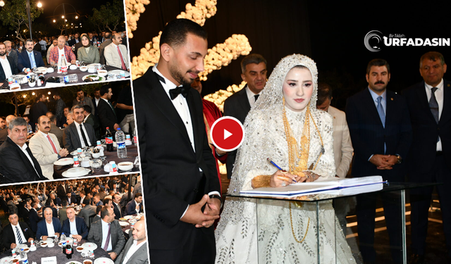 Şanlıurfa Milletvekili Hikmet Başak Oğlunu Evlendirdi Düğüne 3 Bin Kişi Katıldı
