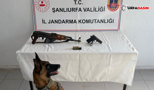 Birecik’te Tüfek ve Tabanca Ele Geçirildi