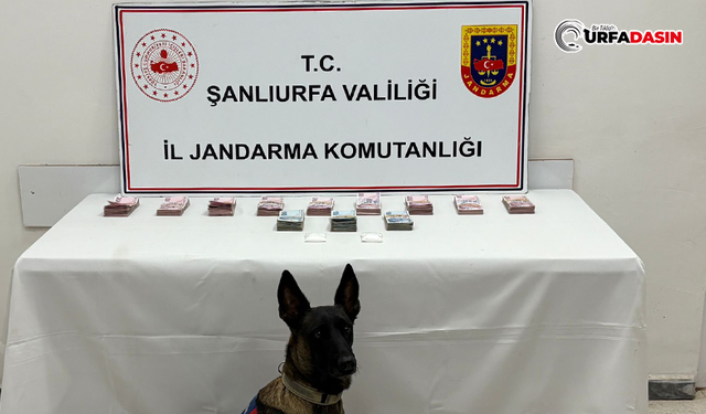 Siverek ve Birecik'te Zehir Tacirlerine Operasyon