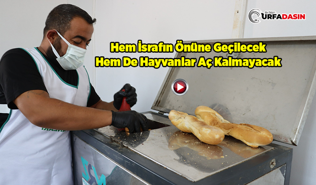 Şanlıurfa’da Organik Atıklar Hayvan Mamasına Dönüştürülüyor