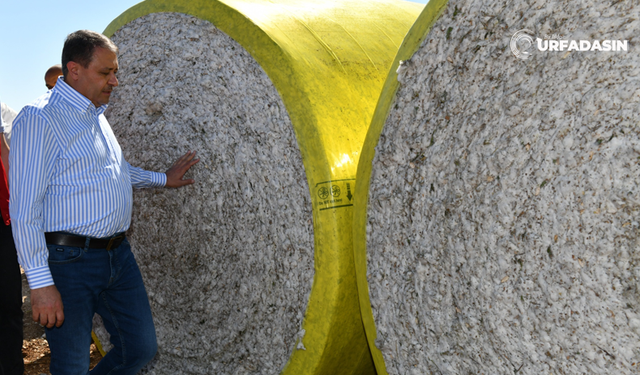 Şanlıurfa Valiliğinden Pamuk Genelgesi !