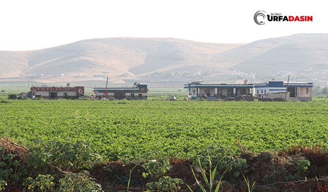 Şanlıurfa’da Tarım Arazilerine Yapılan 65 Yapı İçin 15 Milyon 601 Bin Lira Ceza