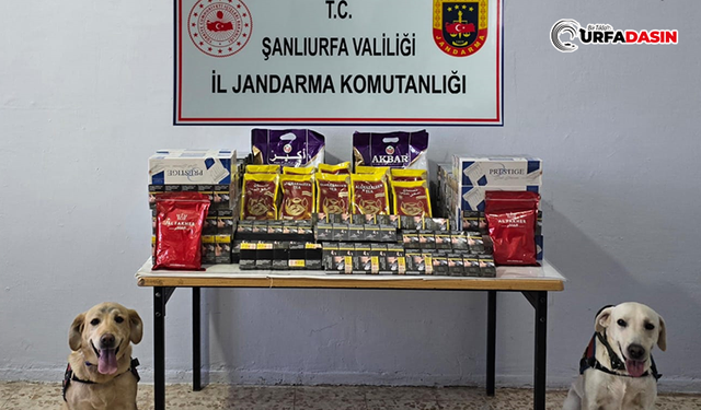 Şanlıurfa'da 3 Ayrı Kaçakçılık Operasyonu