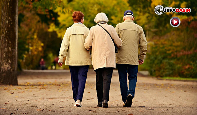 Yaşlılar Günü’nde Uzmandan Sağlıklı Yaşlanma Önerileri
