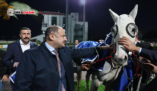 Şanlıurfa’da At Yarışlarının Yeni Sezonu Başladı