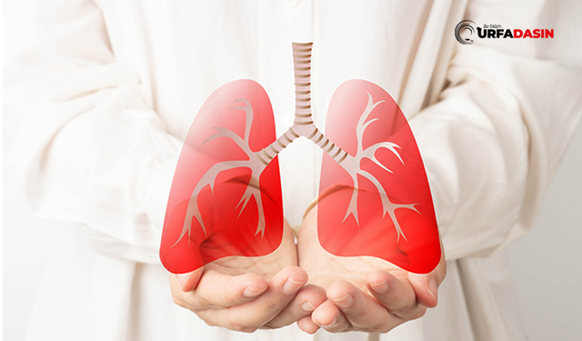 KOAH’ın En Önemli Sebebi Tütün Ürünleri