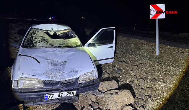 Şanlıurfa'da Yola Çıkan Eşeğe Çarpan Otomobilin Sürücüsü Yaralandı
