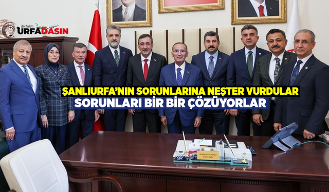 Şanlıurfa Milletvekilleri Cumhurbaşkanı Yardımcısı İle Görüştü Elektrik Konusunda İstedikleri Desteği Aldı