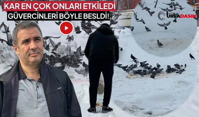 Şanlıurfa'da Hayvan Sevgisi Soğuğu Hissettirmiyor !