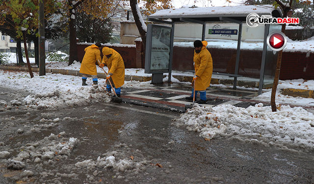 Haliliye'de Karla Mücadelede Kesintisiz Hizmet Sürücüyor