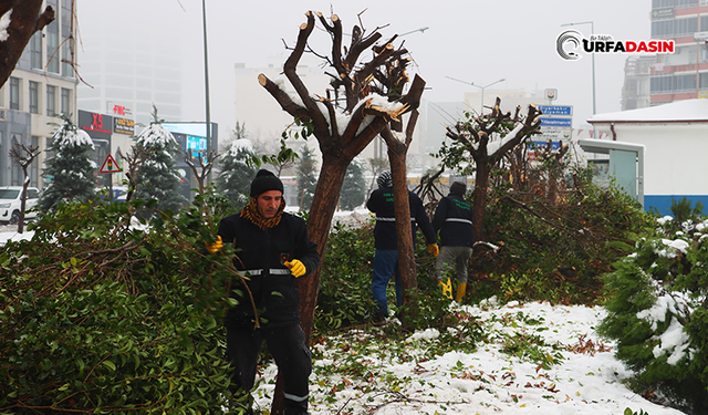 Şanlıurfa'da Vatandaşların Geçiş Alanları Güvenli Hale Getiriliyor
