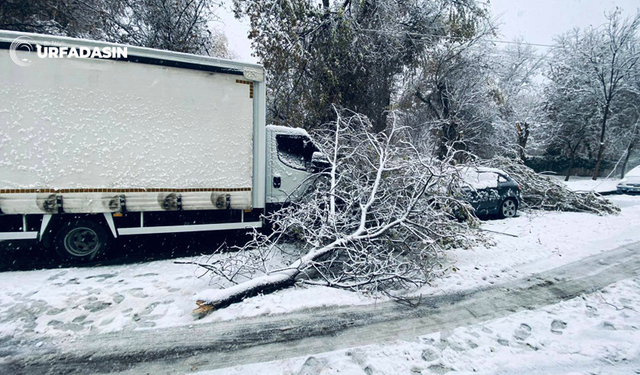 Şanlıurfa Birecik’te Kar, Tipi, Rüzgar Yıktı Geçti !