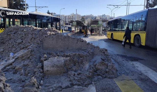 Şanlıurfa'da Burası Otobüslerin Toplanma Merkezi Değil Kar Toplama Merkezi