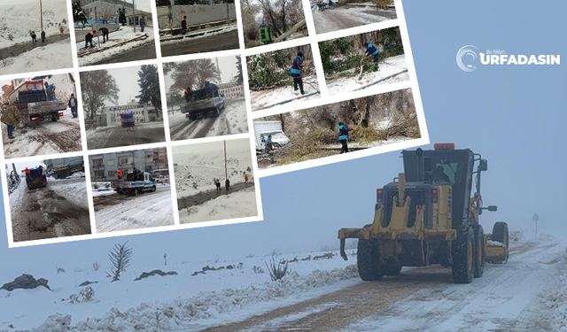 Birecik’te Karla Etkin ve Kesintisiz Mücadele !