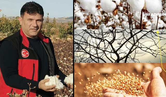 Bozova Ziraat Odası Başkanı Müslüm Okan, Çiftçileri Mağdur Eden Yeni Uygulamaya Tepki Gösterdi