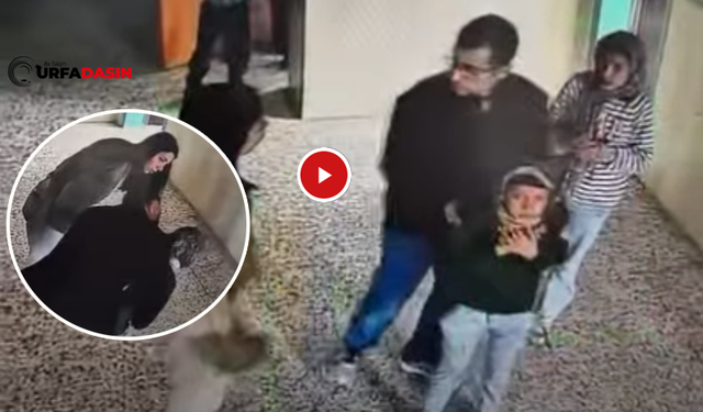 Şanlıurfa Harran'da Nefes Kesen Olay !