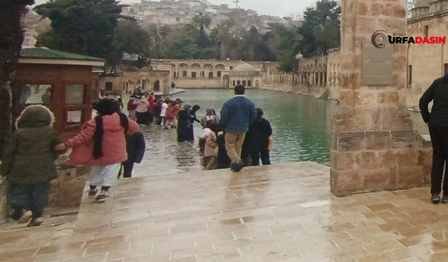 Şanlıurfa’nın Kalbi Balıklıgöl Öğrencilerin Neşesiyle Şenlendi