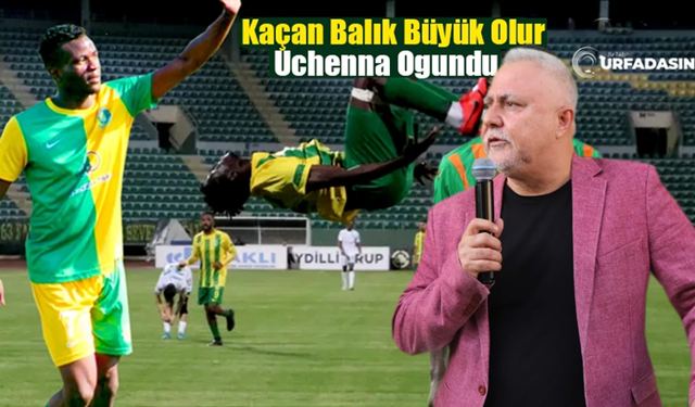 Şanlıurfaspor Başkanı Kemal Saraçoğlu'ndan Ogundu Açıklaması