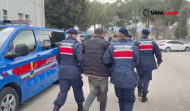 Şanlıurfa'da Dahil 11 İlde Organize Suç Örgütlerine Operasyon: 71 Tutuklama