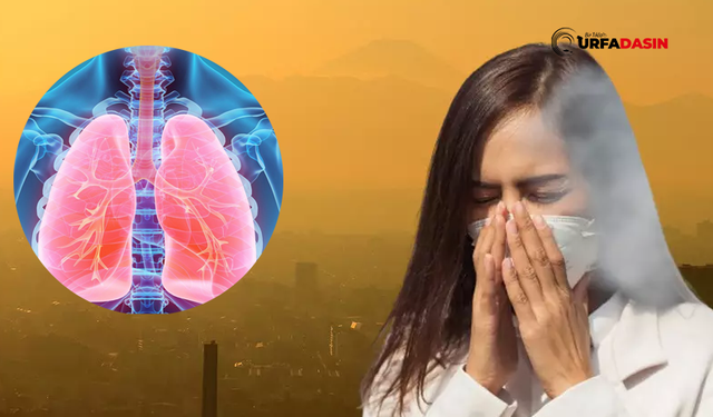 Şanlıurfa'da Çok Sık Görülen Çöl Tozu, Akciğerler İçin Büyük Risk Taşıyor