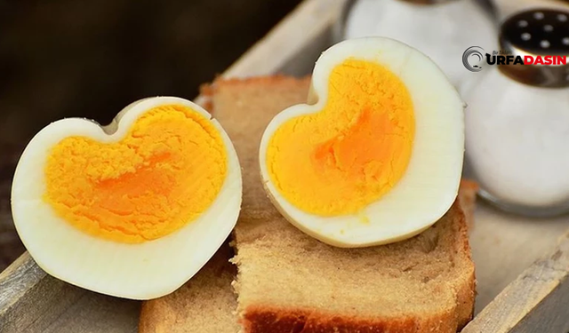 Sanıldığı Gibi Değilmiş Yumurtanın Sarısı Aklandı!