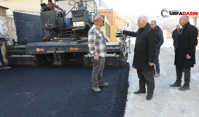 Selahaddin Eyyubi Mahallesi 41. Sokak’ta Asfalt Serim Çalışması