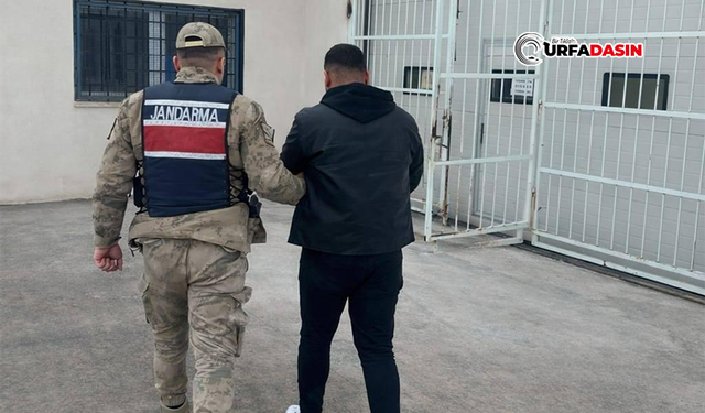 Şanlıurfa'da Adam Öldürme Suçundan 10 Yıl Hapisle Aranan Firari Yakalandı