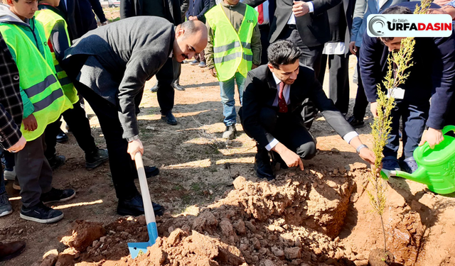 Şanlıurfa Akçakale'de Fidanlar Toprakla Buluştu