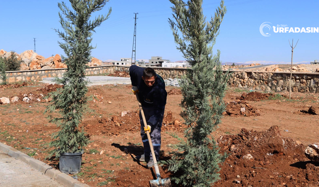 Halfeti Yukarıgöklü Kent Parkı Yeşile Bürünüyor