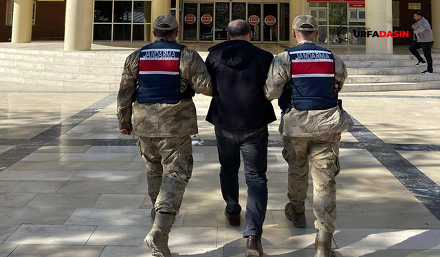 Şanlıurfa’da Yaralama Suçundan 5 Yıl Hapis Cezası Bulunan Firari Yakalandı