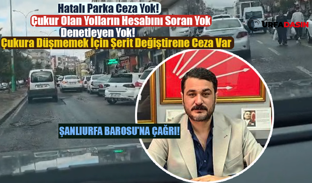 Şanlıurfa'da Sürücüler Çukurdan Kurtuluyor Ceza Yemekten Kurtulamıyor