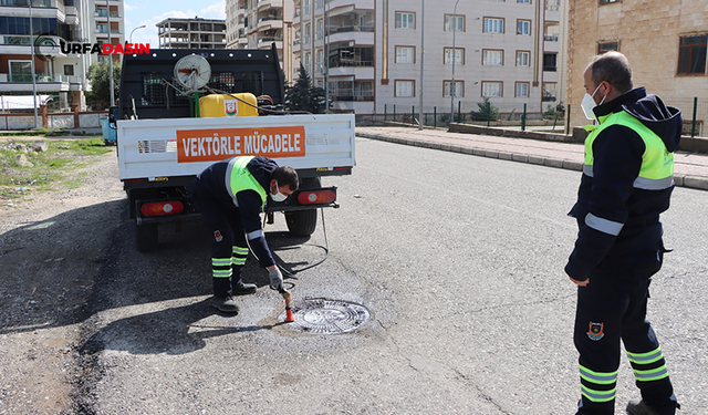 Şanlıurfa'da Sivrisinek ve Haşerelere Karşı Yıl Boyunca Yoğun Mesai