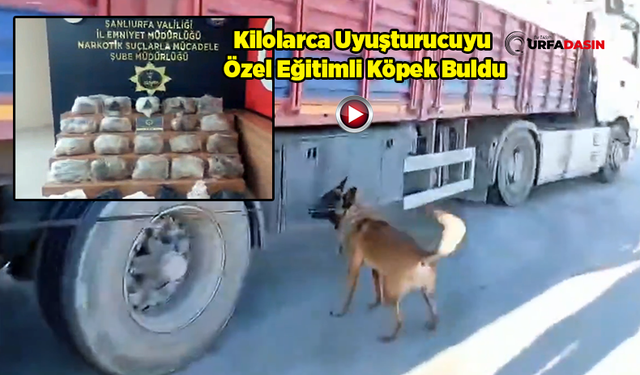 Şanlıurfa'da Tırda 33 Kilogram Skunk Ele Geçirildi: 1 Gözaltı