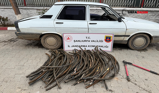 Şanlıurfa'da TİGEM Arazisinden Bakır Kablo Çalan Hırsız Yakalandı