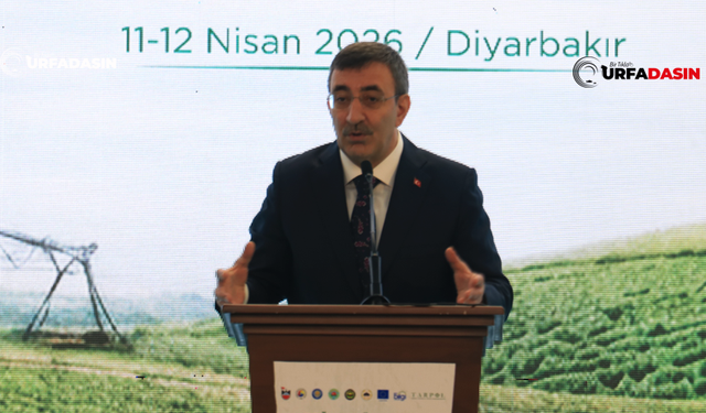 Cumhurbaşkanı Yardımcısı Cevdet Yılmaz: GAP'ta Verimliliği Artırdık