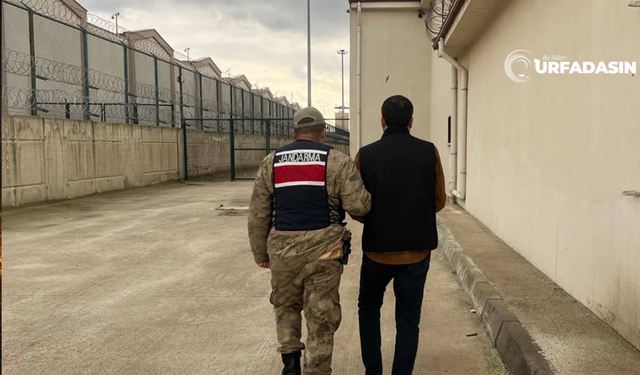 Şanlıurfa'da Cezası Onaylanan 821 Kişi Cezaevine Girdi