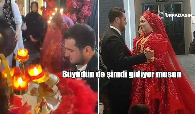 Urfa'nın Minik Picassosu Evleniyor Kına Gecesine Valinin Eşi de Katıldı