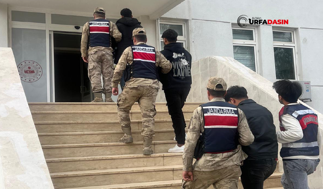 Şanlıurfa'da Göçmen Kaçakçılığı Yapan 3 Organizatör Gözaltına Alındı