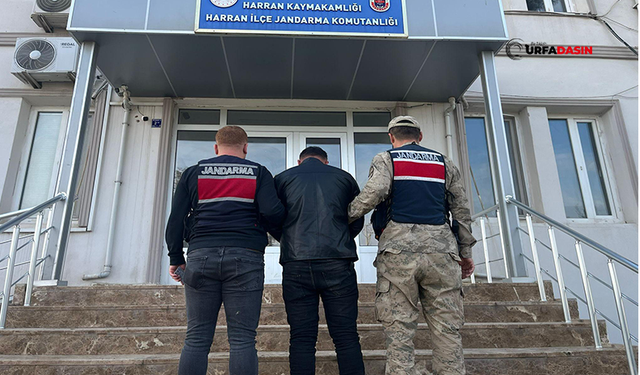 Şanlıurfa'da 13 Yıl Hapis Cezasıyla Aranan Dolandırıcı Yakayı Ele Verdi