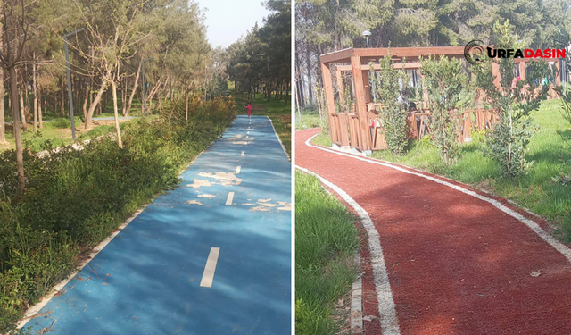 Akçakale Belediyesi İlçenin Tek Mesire Alanına Bakmaktan Aciz