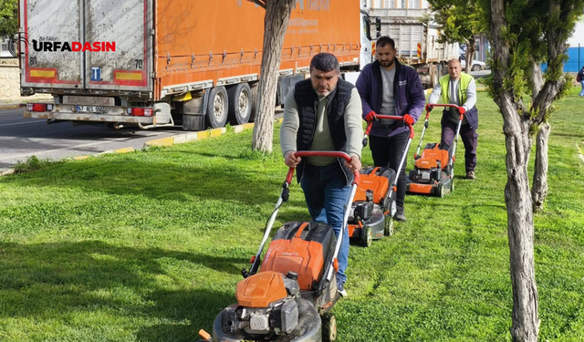 Viranşehir'de Park ve Yeşil Alanlarda Bakım ve Temizlik Çalışması