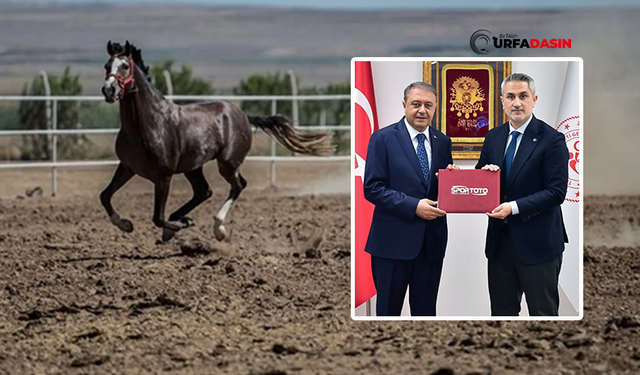 Şanlıurfa Valisi Şıldak Paylaştı: Suruç Arap Atları İçin Protokol İmzalandı