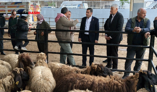 CHP Şanlıurfa İl Başkanı Karadağ: “Hayvan Pazarında Tablo Endişe Verici”