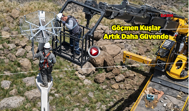 Şanlıurfa'da Kelaynaklar İçin Başladı, Diğer Göçmen Kuşler İçin Yayıldı