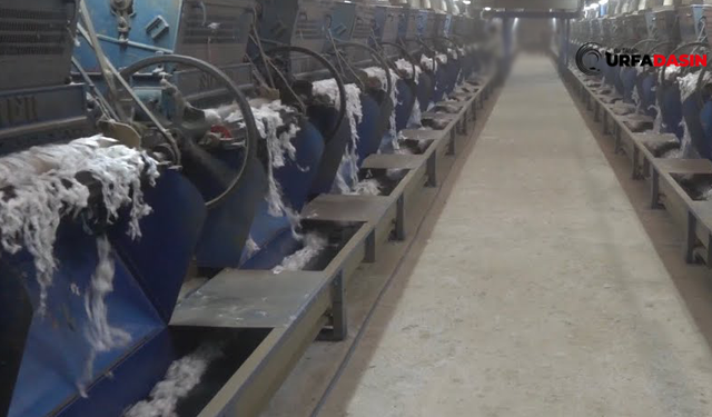 Şanlıurfa Harran'da İcralık Olan Fabrika Satışa Çıkarıldı