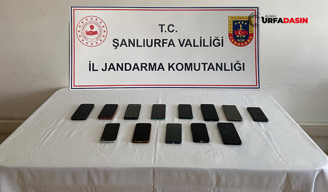 Şanlıurfa'da Sınav Jokerlerine Yönelik Operasyon: 5 Zanlı Tutuklandı