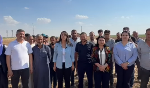DEM Parti Şanlıurfa'da Ovaya İndi Harranlı Çiftçilerin Sorunlarını Dinledi