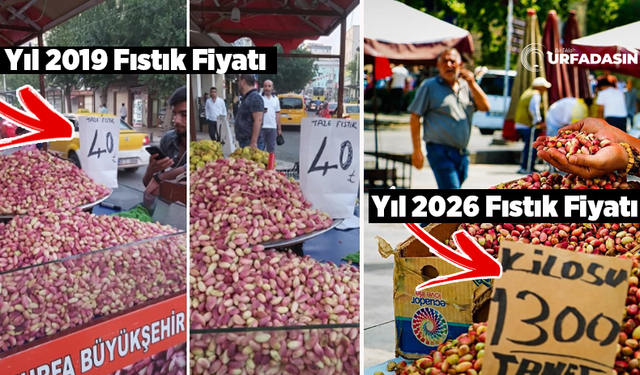 Şanlıurfa Fıstığı Tezgahlarda Kilosu Bin 300 TL'den Satılmaya Başlandı