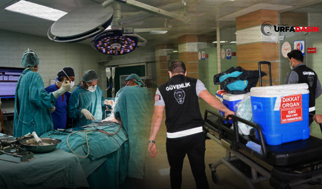 Harran Üniversitesi Hastanesinin Gündemi Organ Bağışı